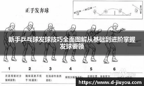 新手乒乓球发球技巧全面图解从基础到进阶掌握发球要领